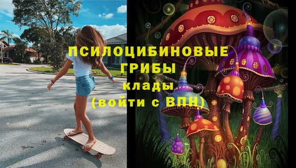 mdpv Арсеньев